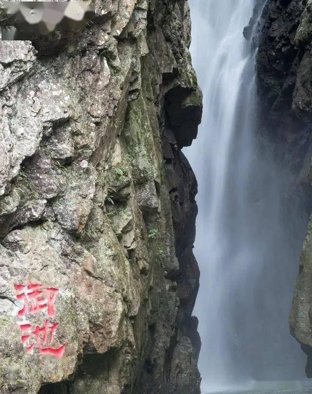证券代码：300506    证券简称：名家汇    公告编号：2024-013
